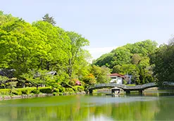 写真：町田薬師池公園四季彩の杜薬師池
